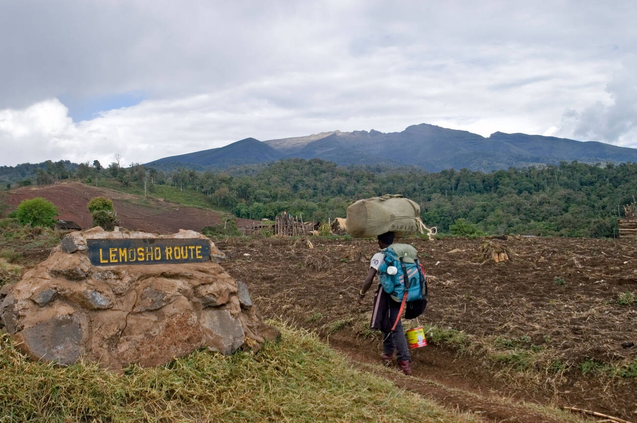 Porter walking through the lemosho route at mount kilimanjaro