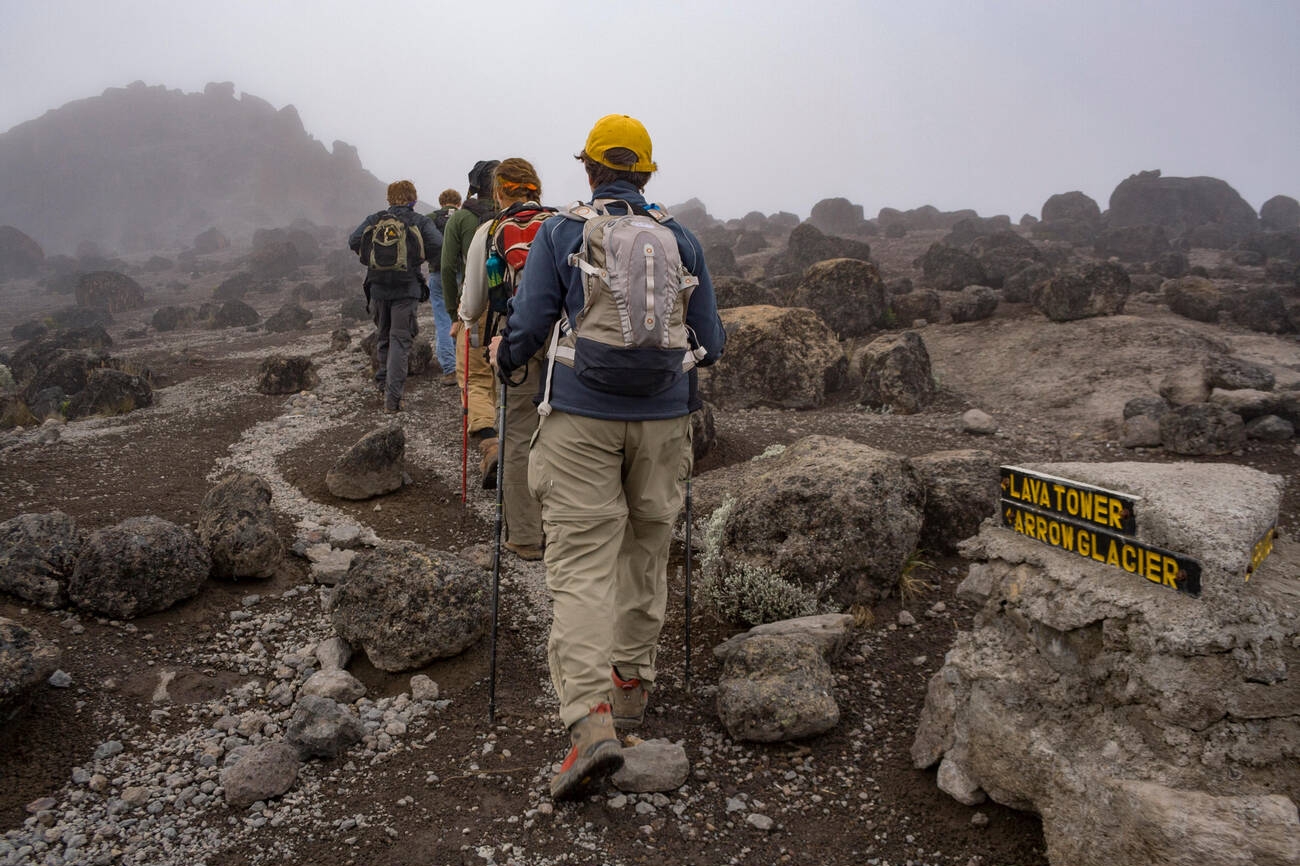 Tourists Hiking the Machame route mount kilimanjaro