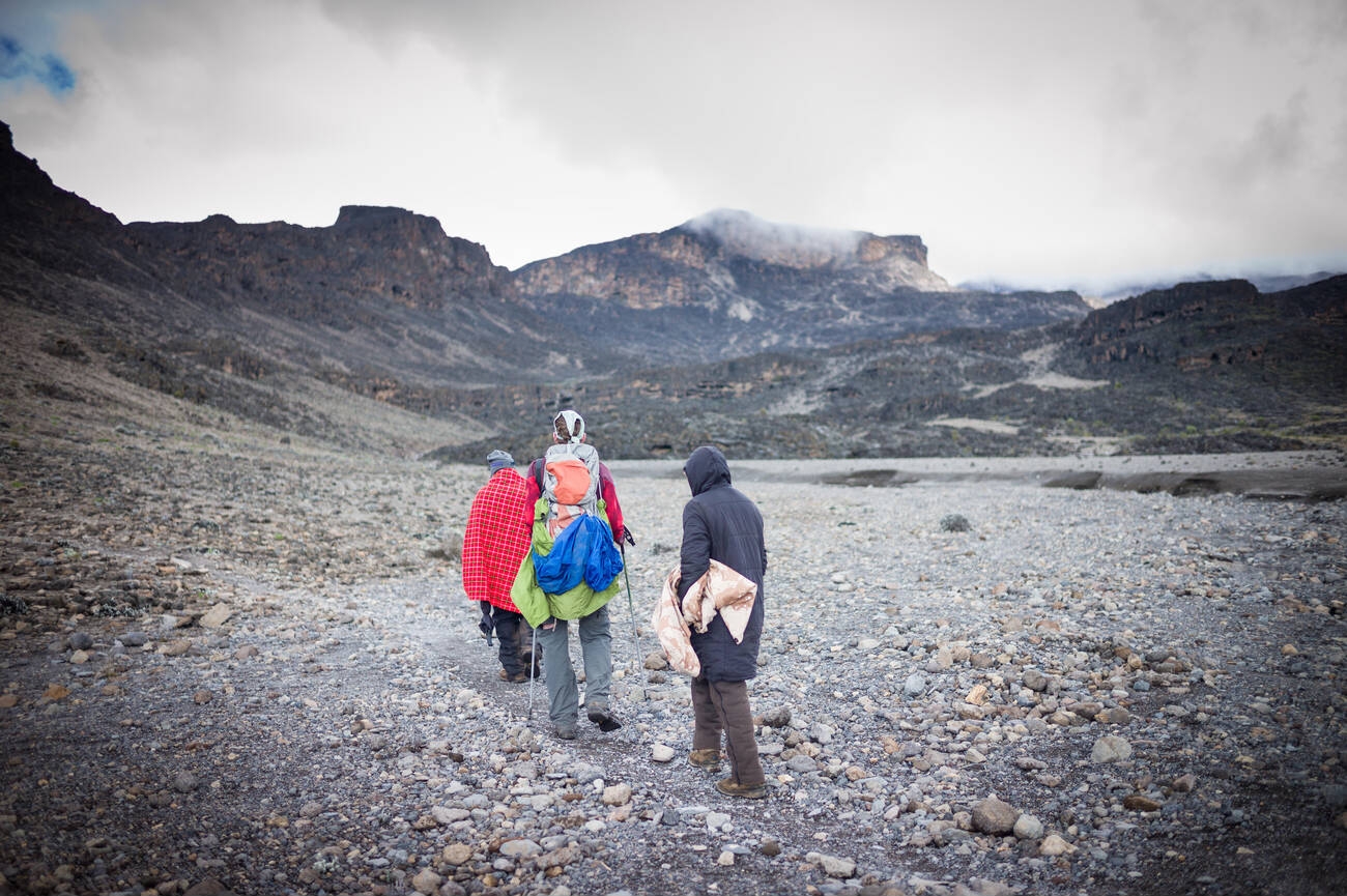 Tourist hiking northern circuit route mount Kilimanjaro