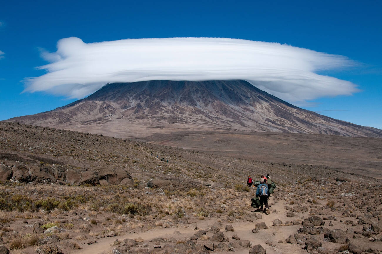 Tourist hiking rongai route mount Kilimanjaro