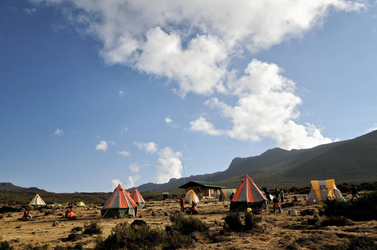 Tourist hiking shira route mount Kilimanjaro